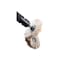 Pferd Cloth Ring, 4"x3/8"x3/8", Hard 48721 - alternate 3
